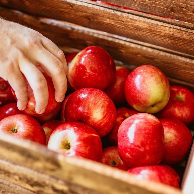 <b>CAN DOGS EAT APPLES?</b><br><br>Discover the facts about feeding your dog apples, and which parts to avoid...</br>