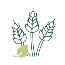 Botanicals, seeds and natural oils to complement and enhance the goodness of our recipes.
